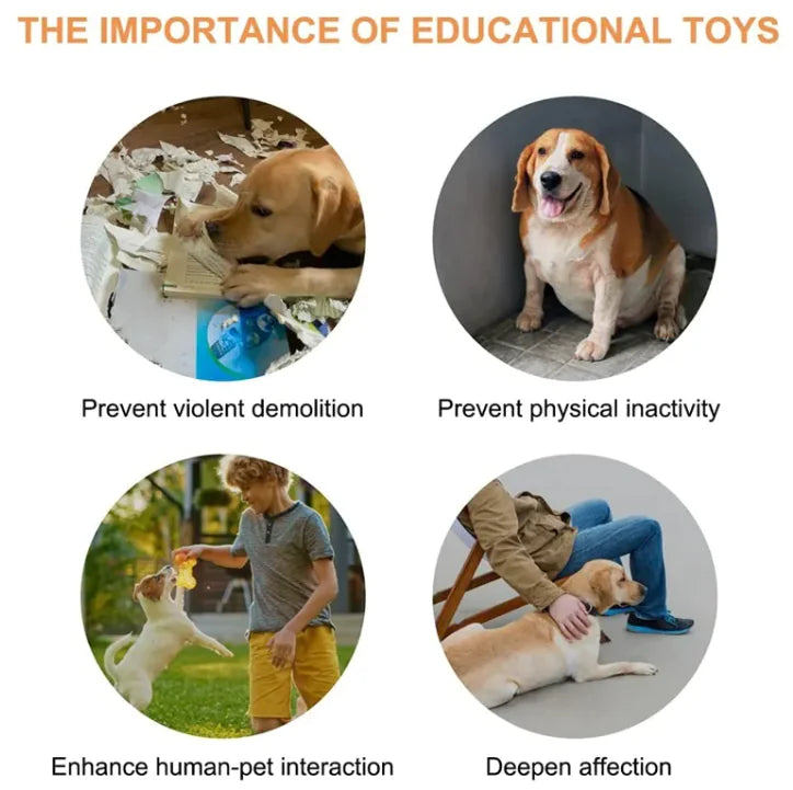 Ultimate All-in-One Pet Spa Brush for Grooming Perfection