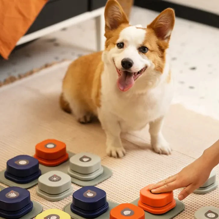 Ultimate All-in-One Pet Spa Brush for Grooming Perfection