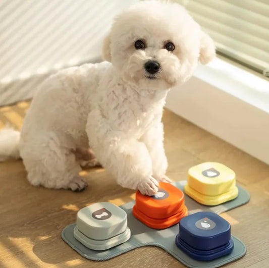 Ultimate All-in-One Pet Spa Brush for Grooming Perfection
