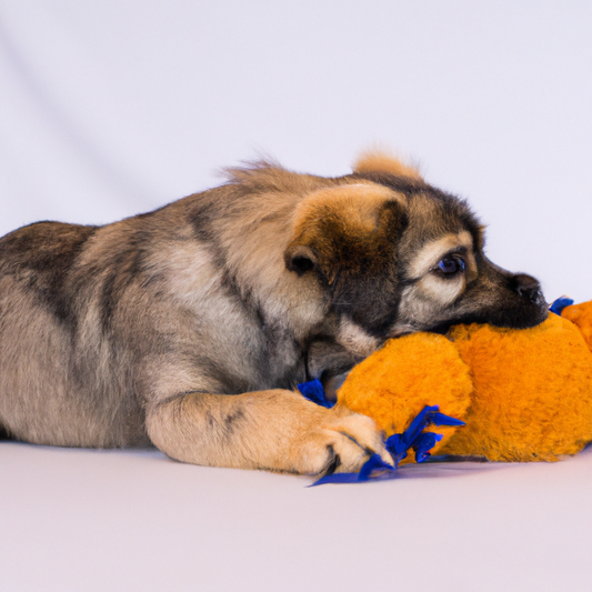 Ultimate Pet Grooming Companion: All-in-One Spa Brush