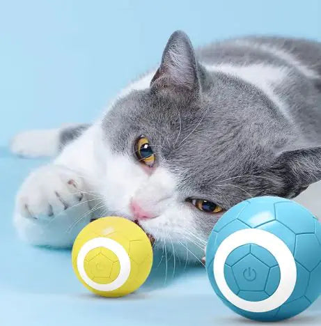 TITULO: Versatile All-In-One Pet Spa Brush for Comfortable Grooming
DESCRIPCIÓN: Unleash seamless grooming convenience with our All-In-One Pet Spa Brush. Keep your pet's coat shiny and healthy effortlessly.